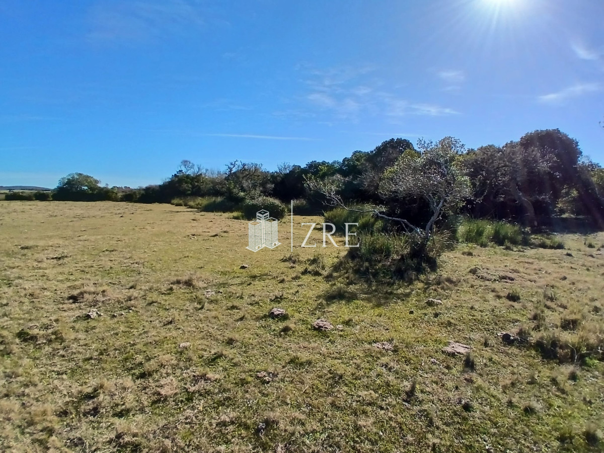Chacra ID.542 - Venta chacra 18 has camino de los ceibos, maldonado