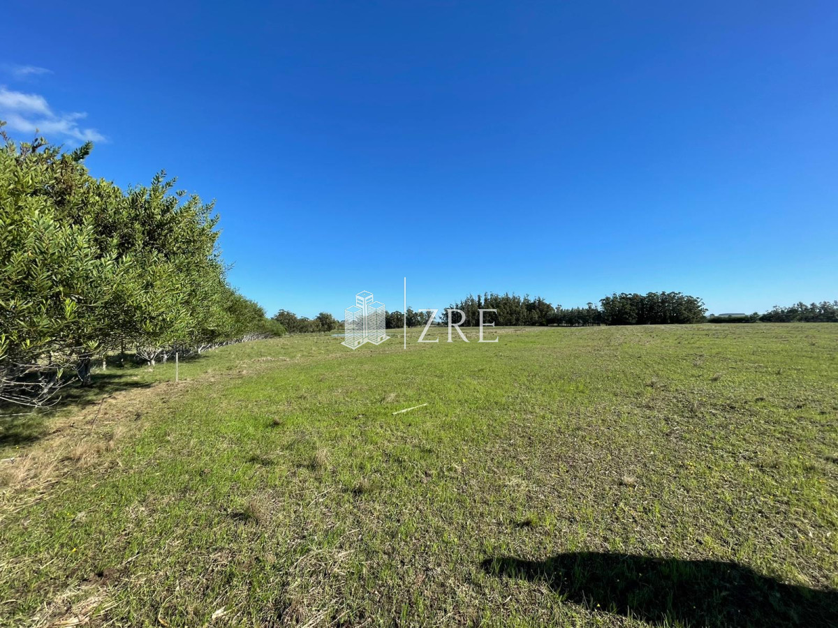 Chacra ID.348 - Venta Chacra en venta José Ignacio 