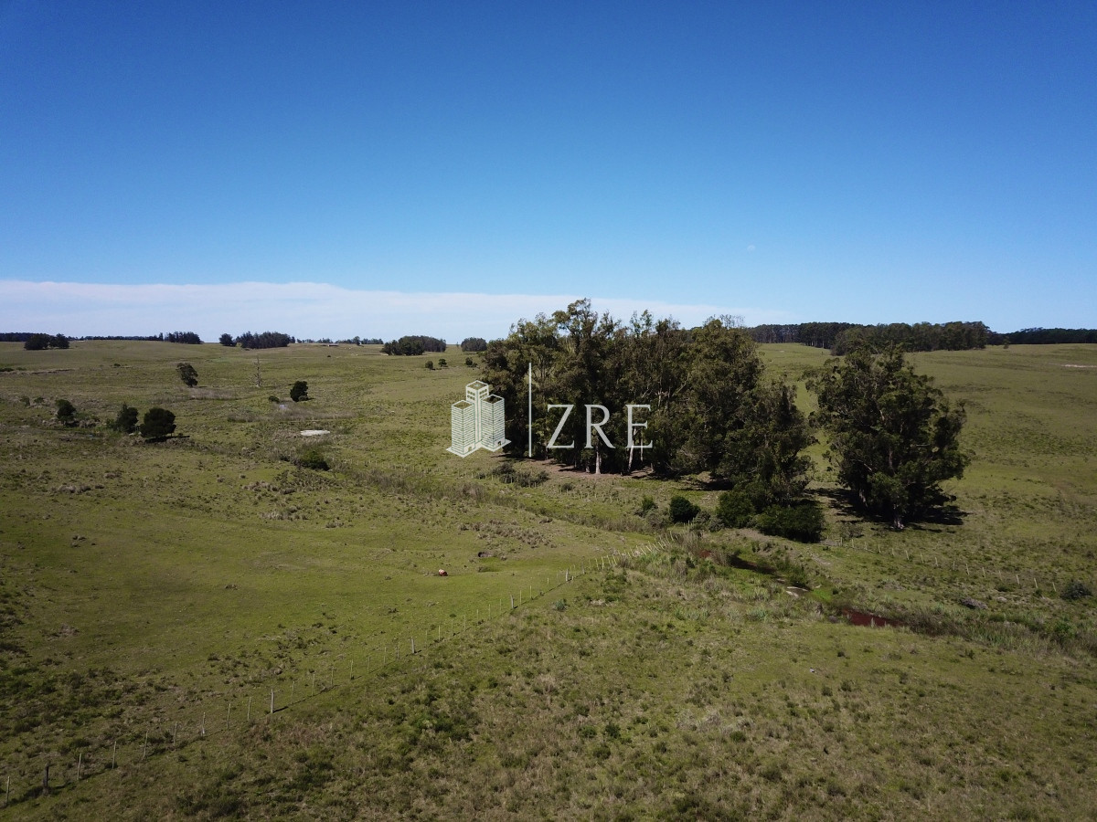 Chacra ID.96 - Venta chacra Jose Ignacio con costa Arroyo Anastasio