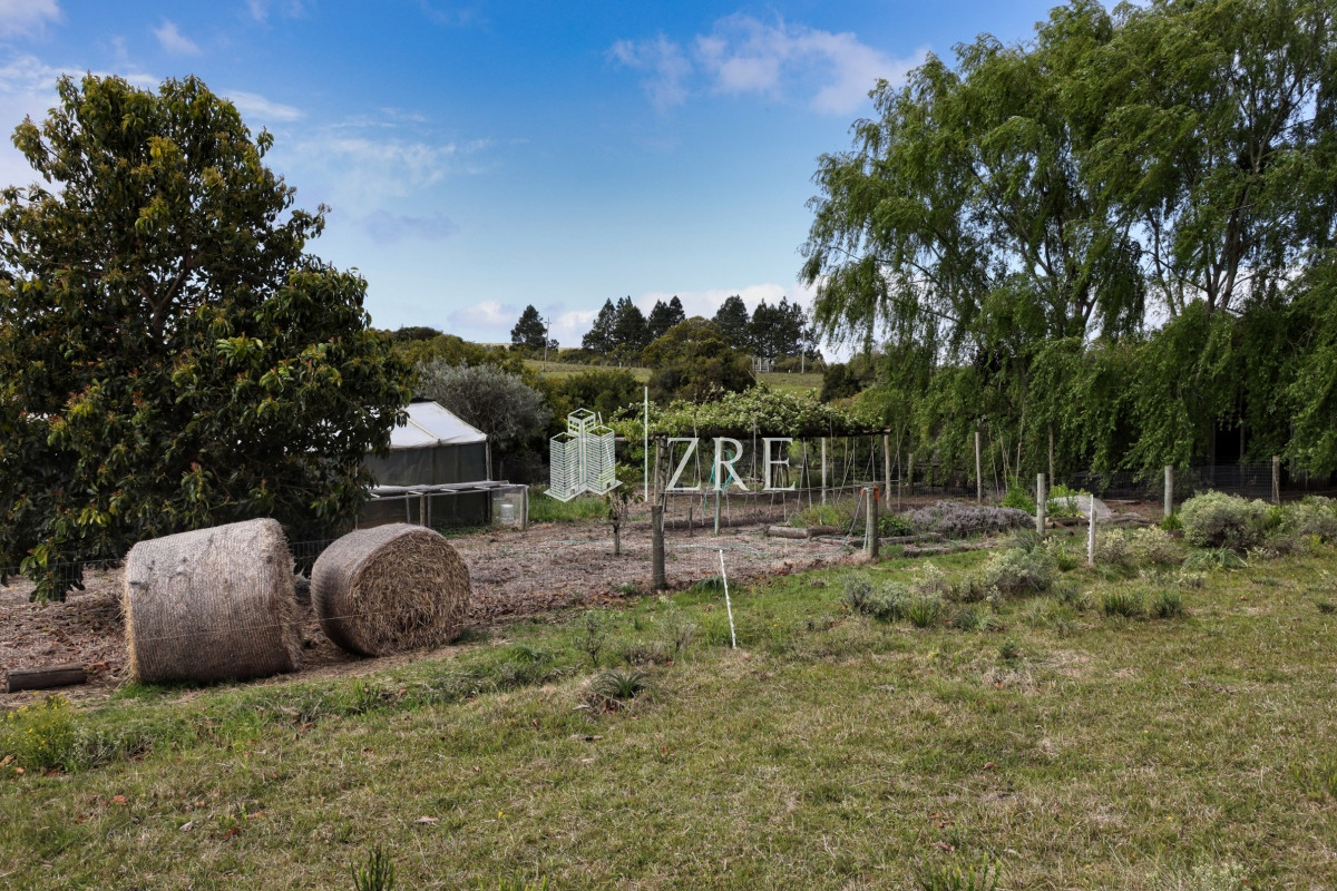 Chacra ID.207 - Venta chacra 11 hectáreas Ruta 12 Pueblo Edén 