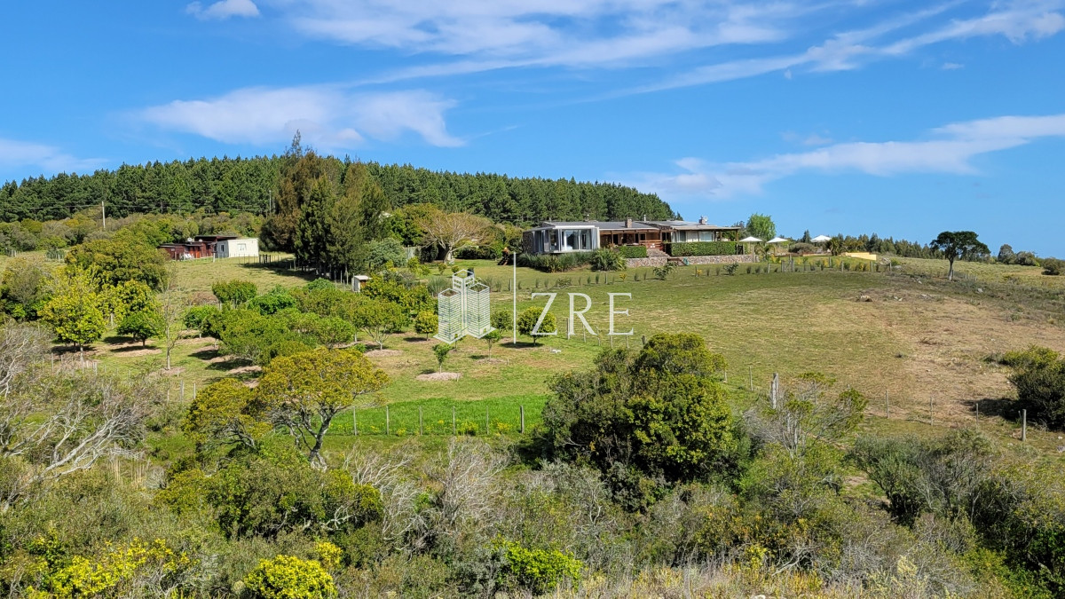 Chacra ID.207 - Venta chacra 11 hectáreas Ruta 12 Pueblo Edén 