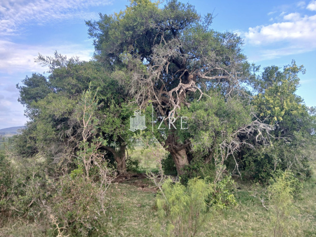 Chacra ID.1409 - Chacra 21 has en pueblo Eden con costa de arroyo