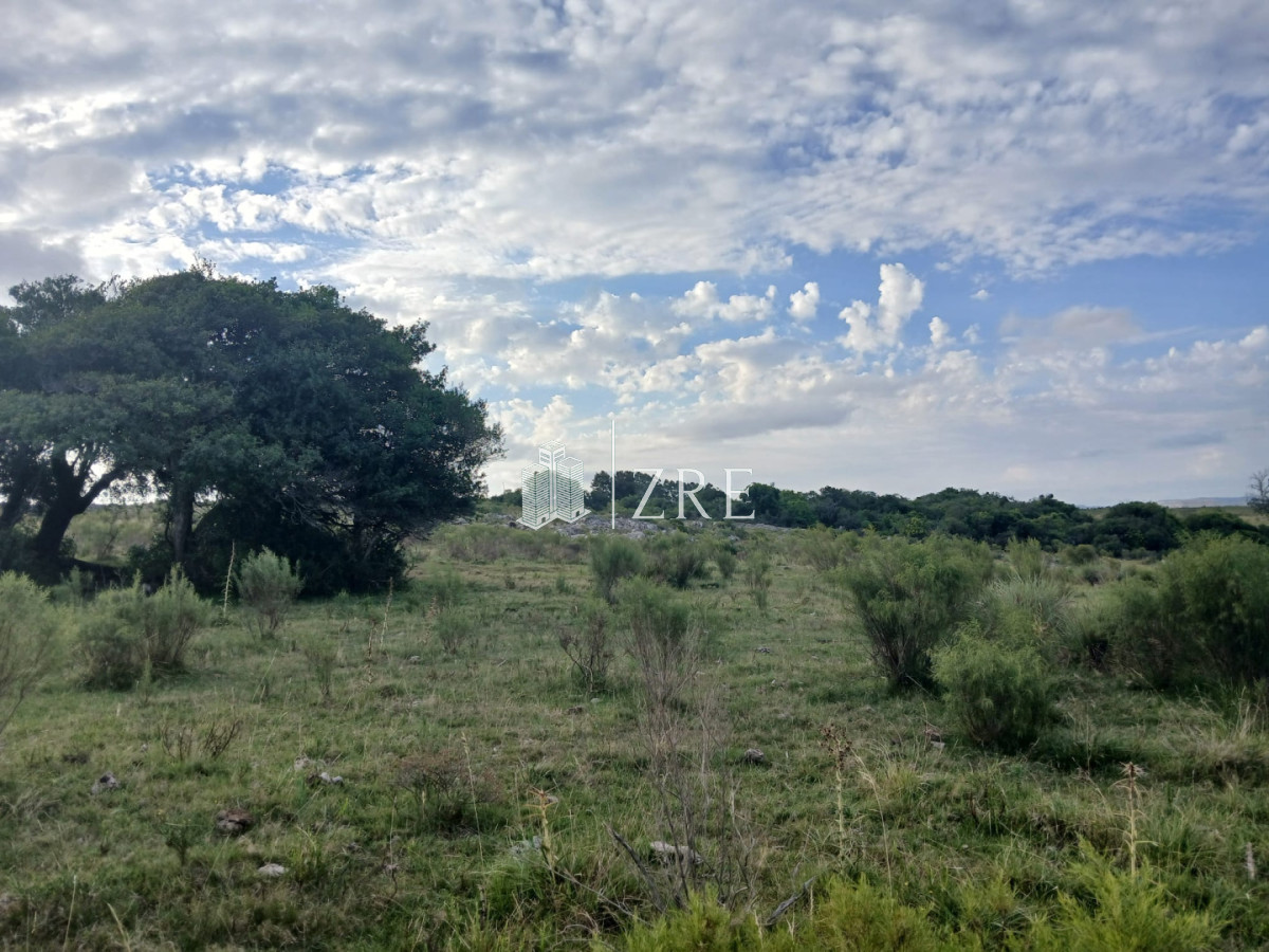 Chacra ID.1409 - Chacra 21 has en pueblo Eden con costa de arroyo
