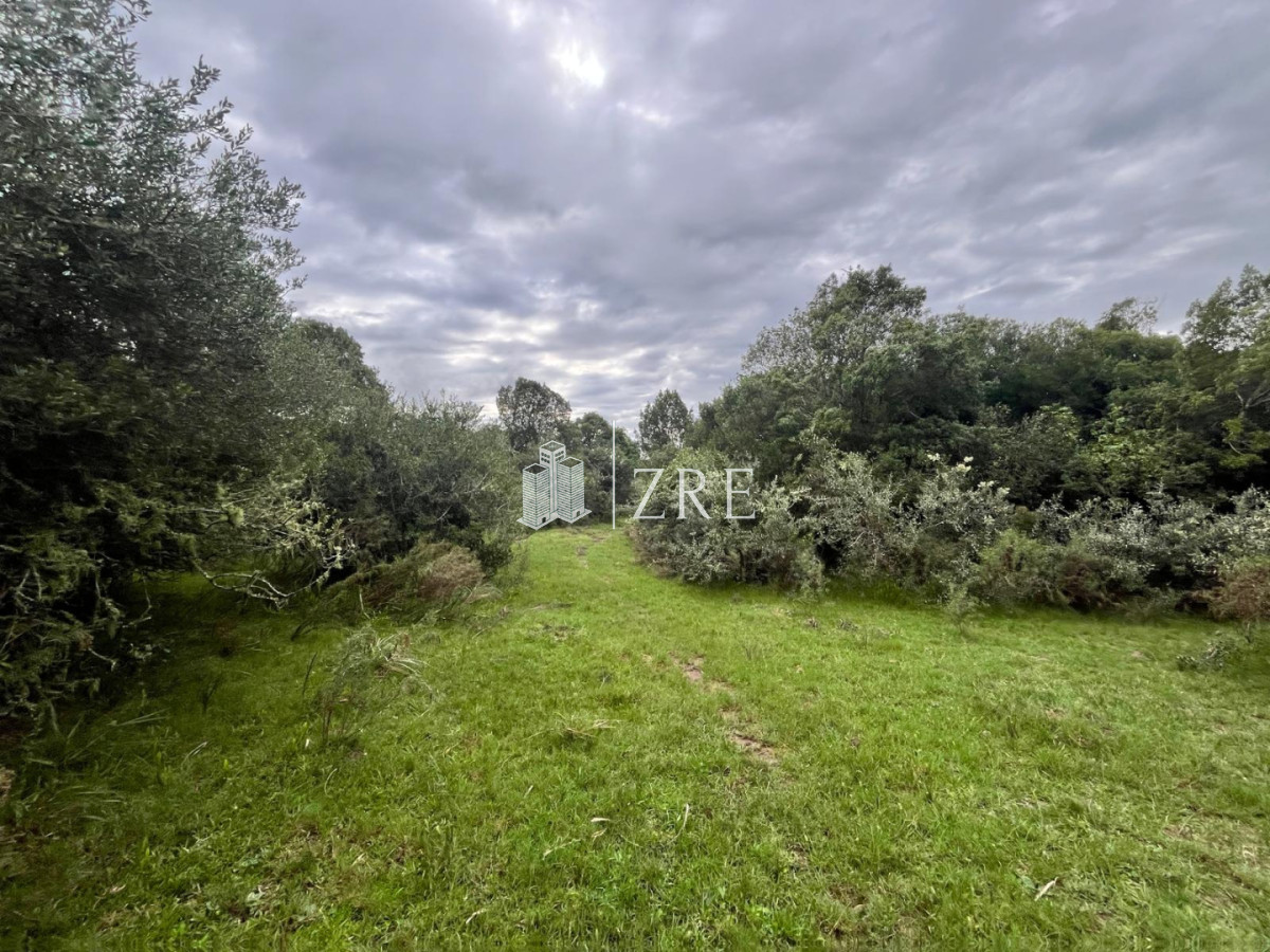 Chacra ID.1371 - Venta de chacras de 3 has en camino de Los Ceibos