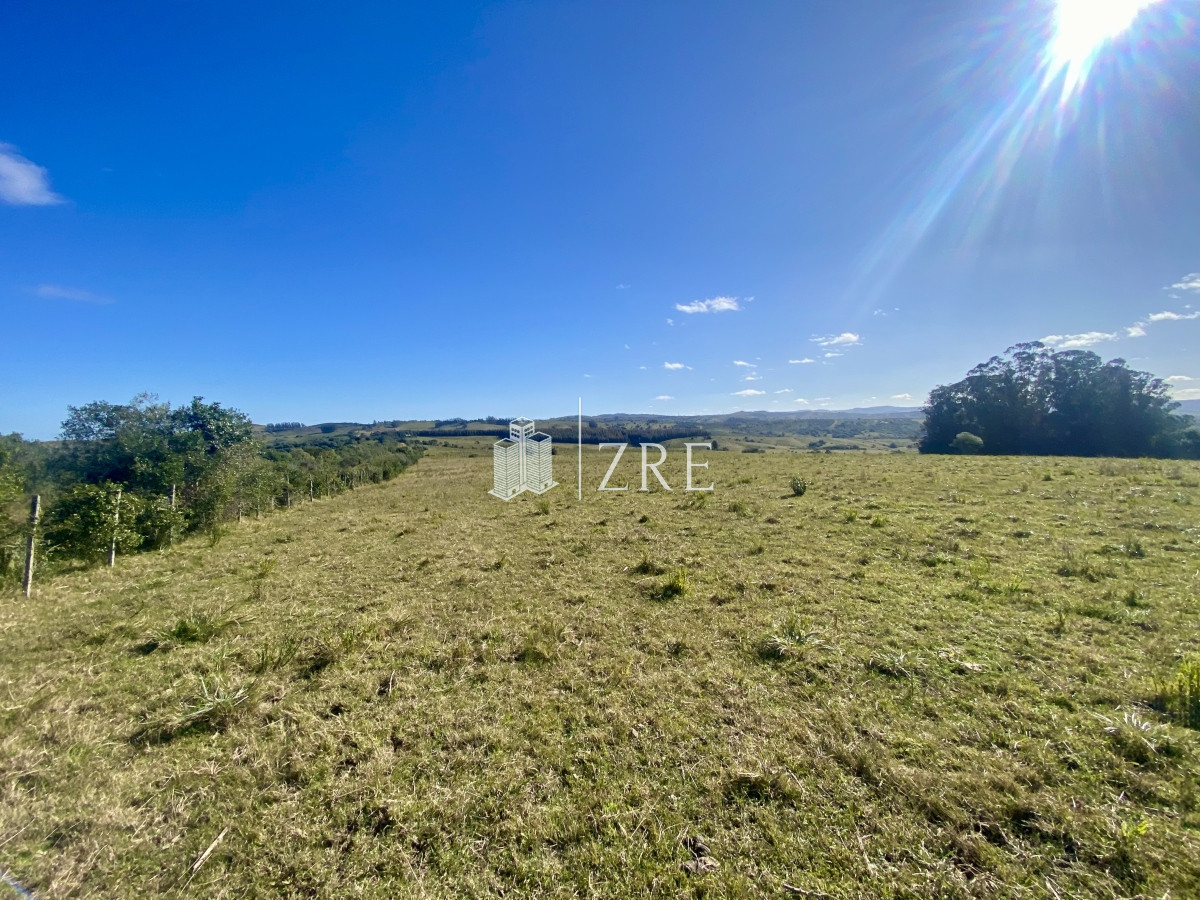Chacra ID.744 - Venta chacra 5 hectáreas. 