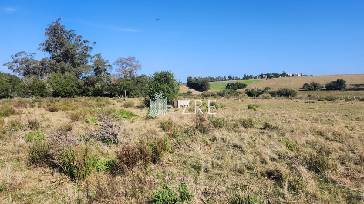 Chacra ID.683 - Venta chacra Ruta 12, Maldonado. 