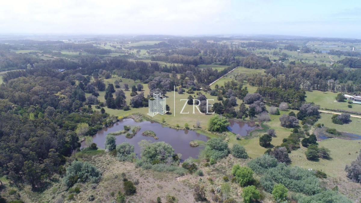 Chacra ID.151 - Venta chacra 10 hectáreas La barra, Maldonado 