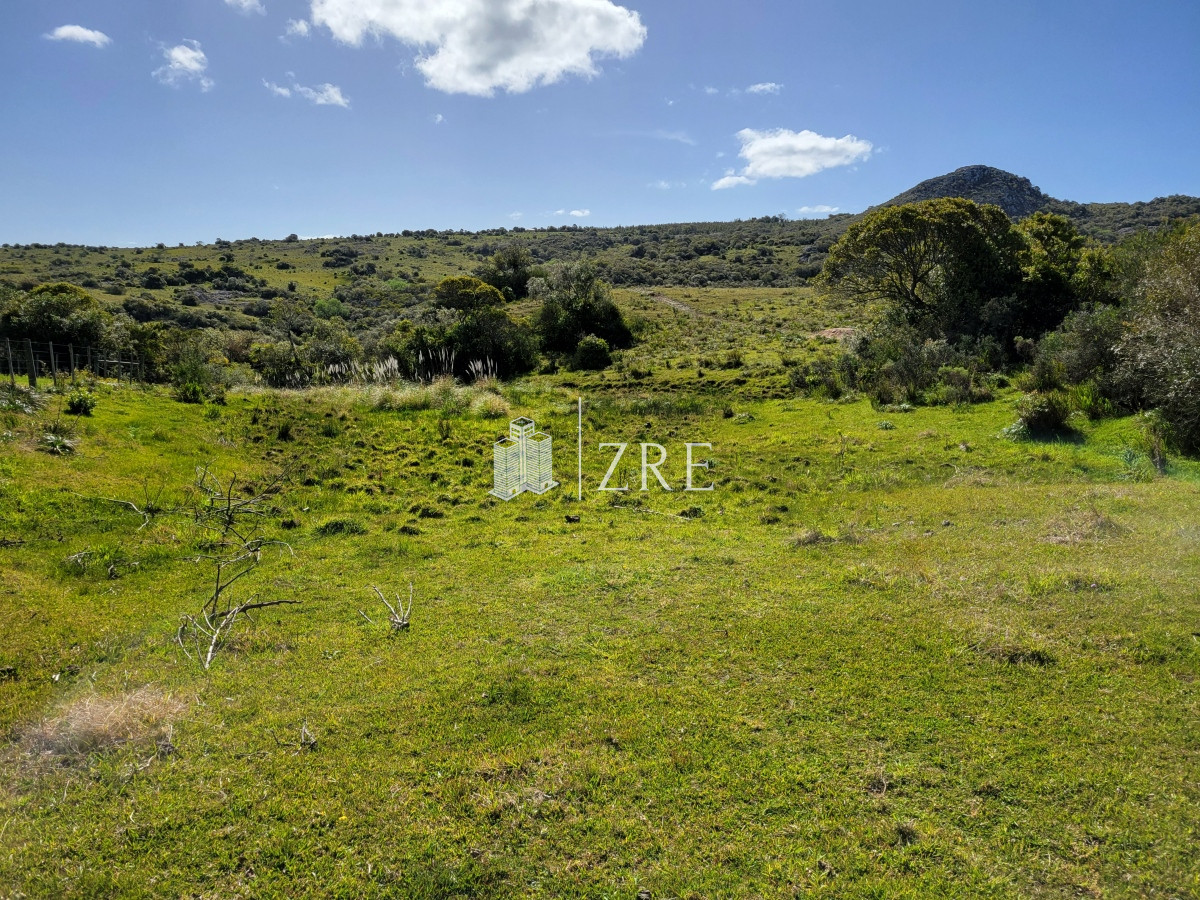 Chacra ID.207 - Venta chacra 11 hectáreas Ruta 12 Pueblo Edén 