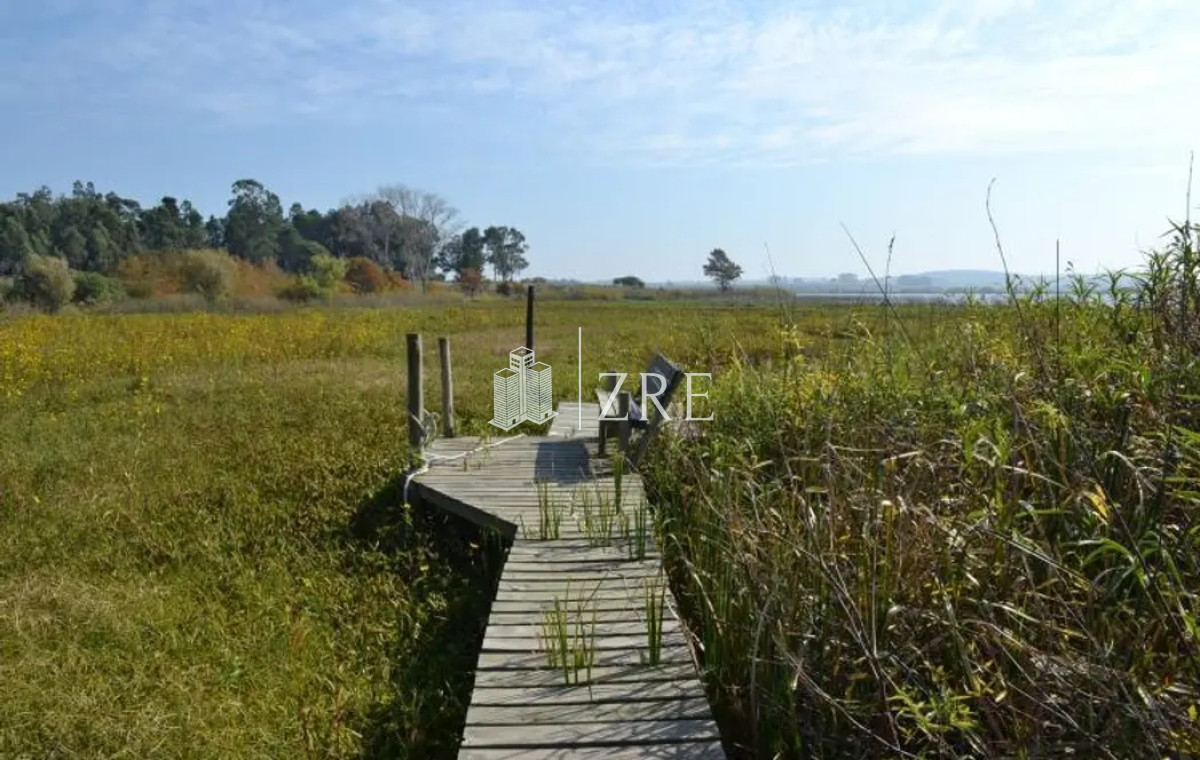 Chacra ID.650 - Venta chacra. Laguna del Sauce, Punta Ballena 
