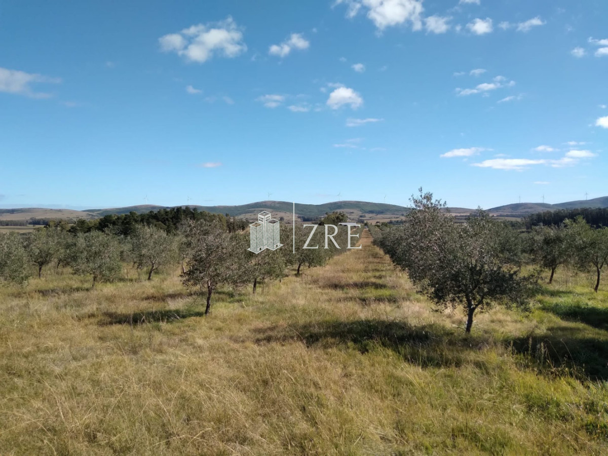 Chacra ID.49 - Venta chacra