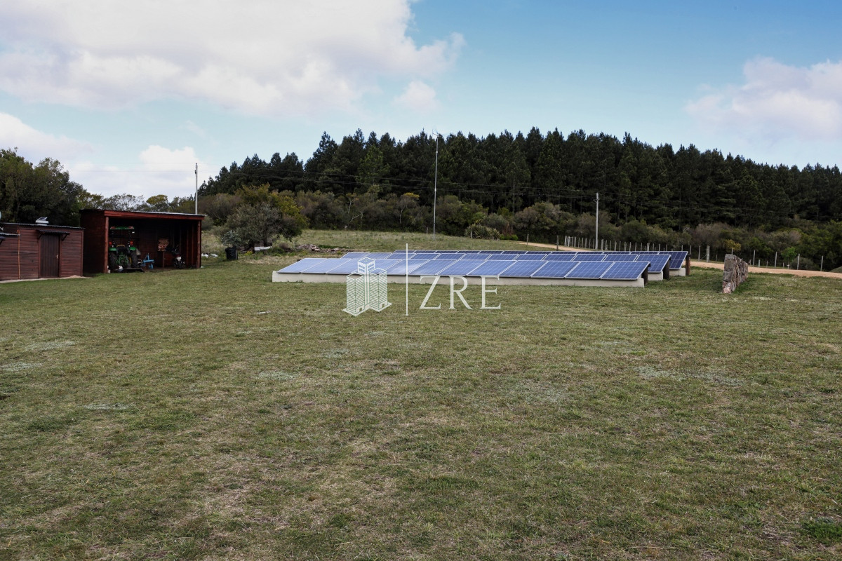 Chacra ID.207 - Venta chacra 11 hectáreas Ruta 12 Pueblo Edén 