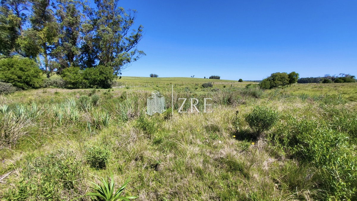 Chacra ID.96 - Venta chacra Jose Ignacio con costa Arroyo Anastasio
