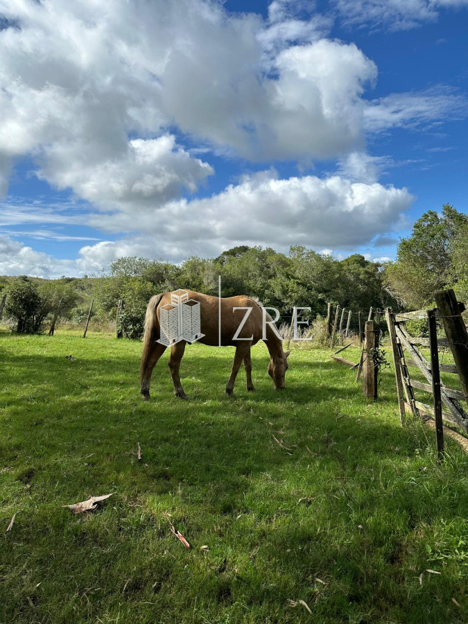 Chacra ID.579 - Venta Chacra 