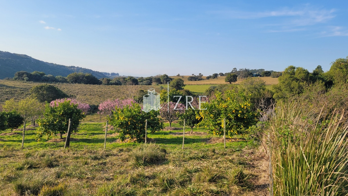 Chacra ID.207 - Venta chacra 11 hectáreas Ruta 12 Pueblo Edén 