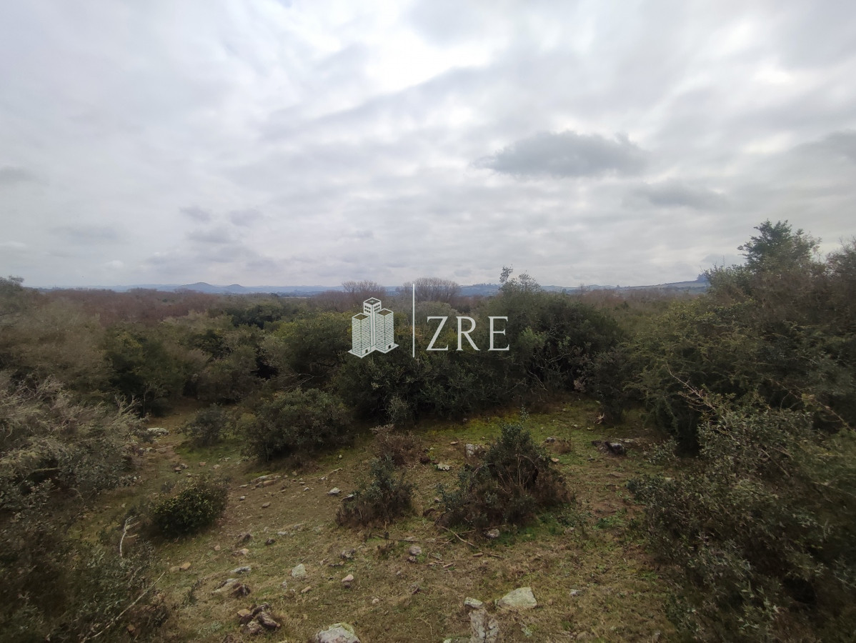 Chacra ID.265 - Venta chacra con costa arroyo. Ruta 12 Maldonado 