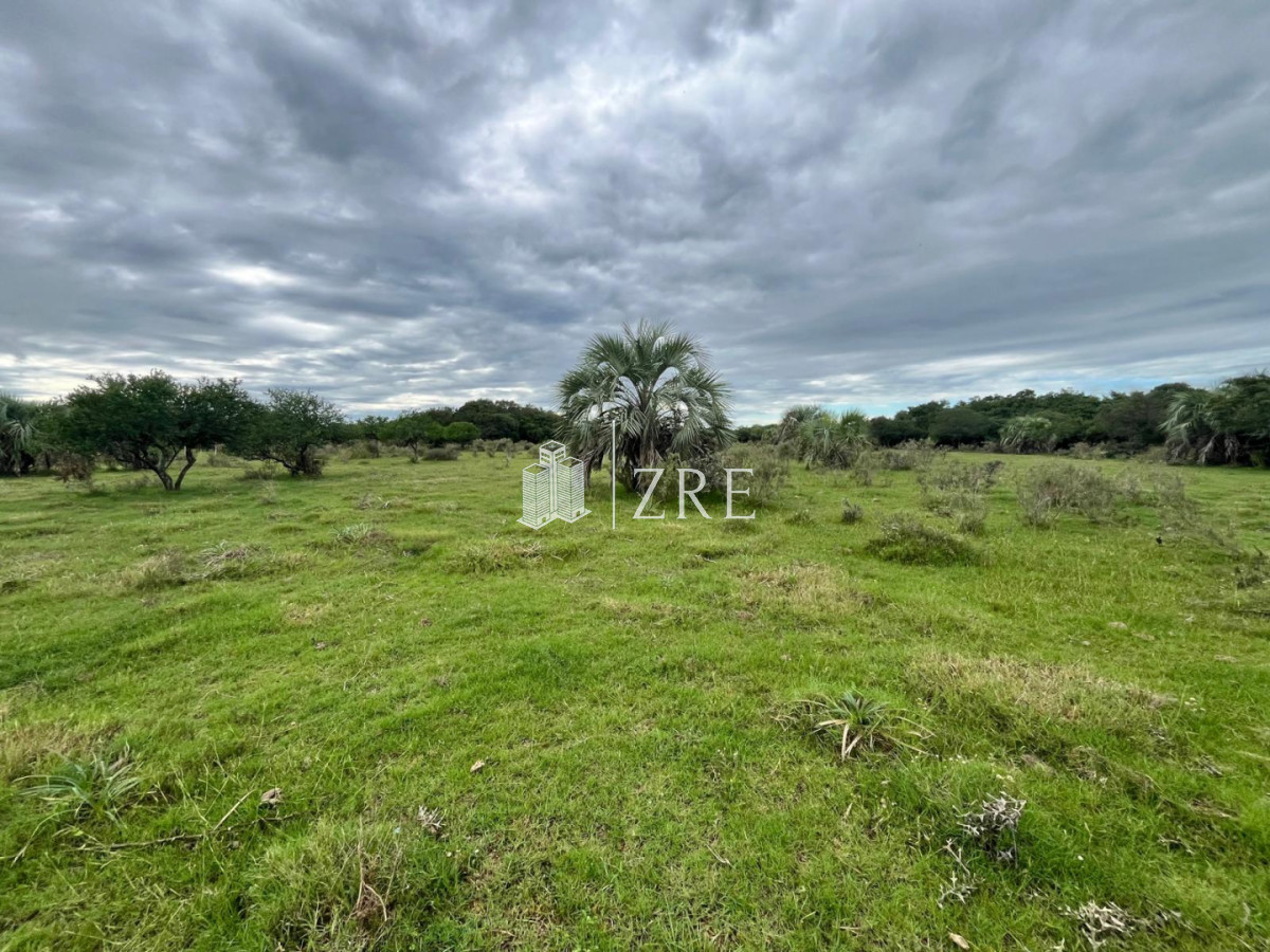 Chacra ID.1371 - Venta de chacras de 3 has en camino de Los Ceibos