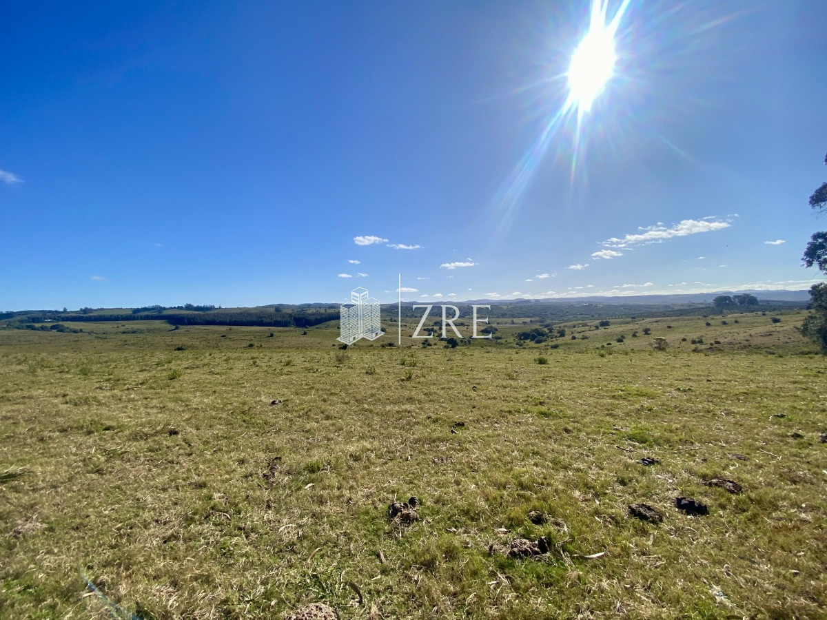 Chacra ID.744 - Venta chacra 5 hectáreas. 