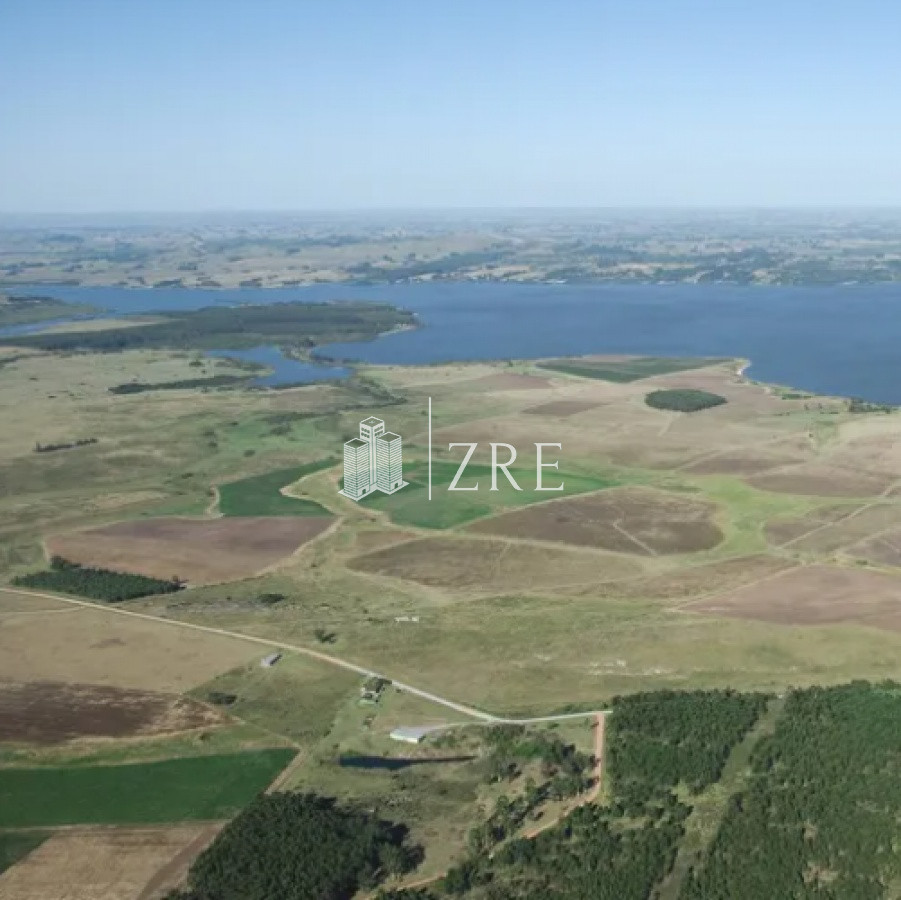 Chacra ID.305 - Venta chacra 146 hectareas sobre Laguna del Sauce