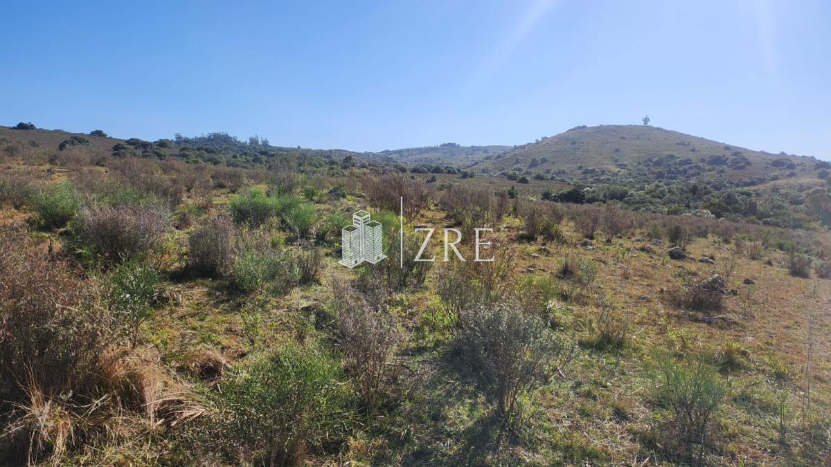 Chacra ID.683 - Venta chacra Ruta 12, Maldonado. 