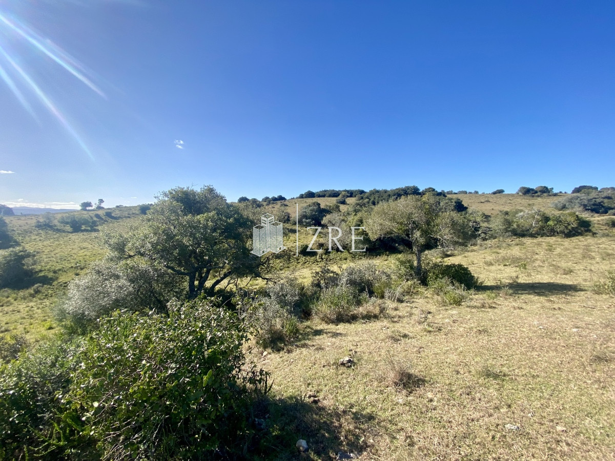 Chacra ID.744 - Venta chacra 5 hectáreas. 