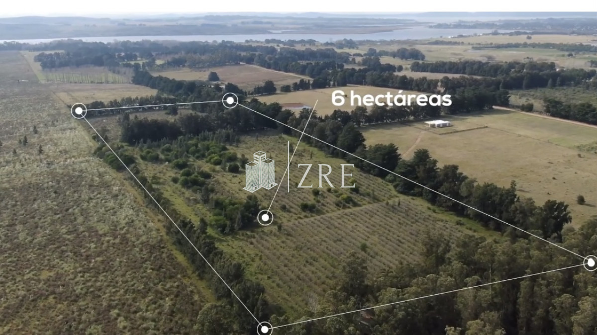 Chacra ID.293 - VENTA CHACRA 6 HA. LAGUNA DE PAN DE AZUCAR