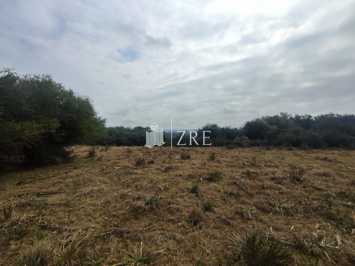 Chacra ID.265 - Venta chacra con costa arroyo. Ruta 12 Maldonado 