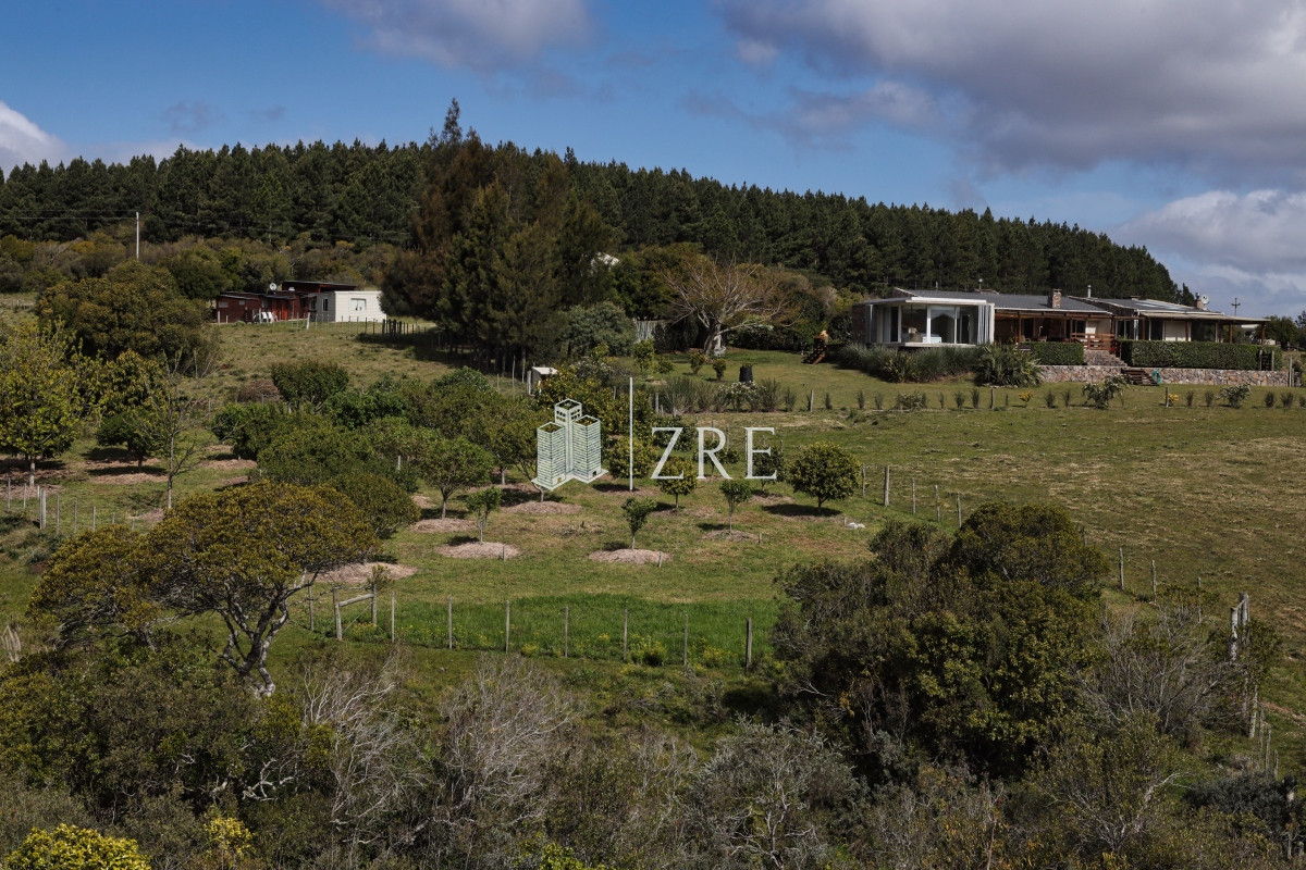Chacra ID.207 - Venta chacra 11 hectáreas Ruta 12 Pueblo Edén 