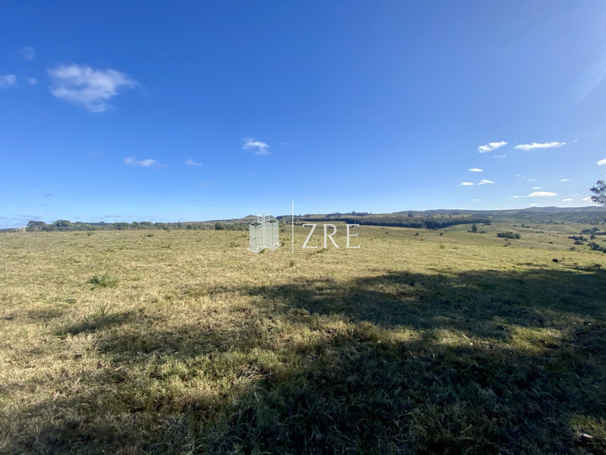 Chacra ID.744 - Venta chacra 5 hectáreas. 