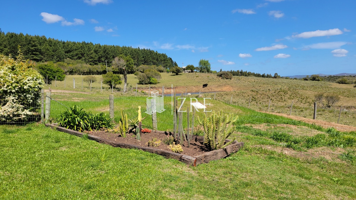 Chacra ID.207 - Venta chacra 11 hectáreas Ruta 12 Pueblo Edén 