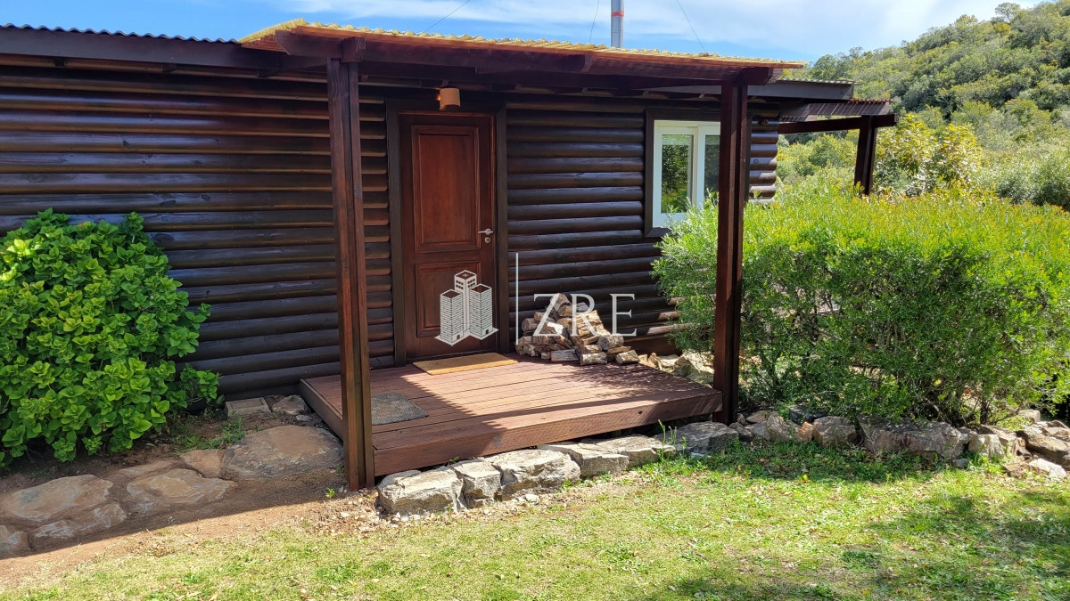 Chacra ID.207 - Venta chacra 11 hectáreas Ruta 12 Pueblo Edén 