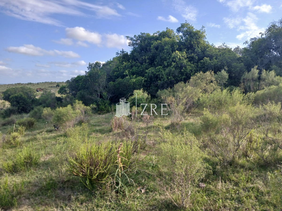 Chacra ID.1409 - Chacra 21 has en pueblo Eden con costa de arroyo