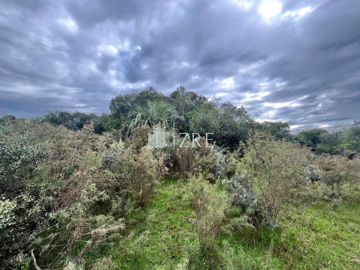 Chacra ID.1371 - Venta de chacras de 3 has en camino de Los Ceibos