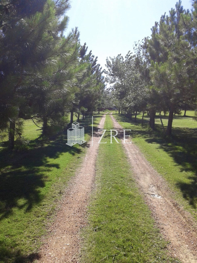 Chacra ID.702 - Venta espectacular chacra en Manantiales - 4.6 hectáreas