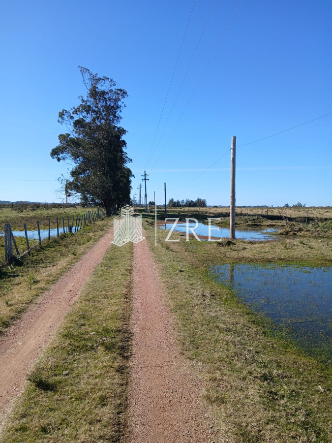Chacra ID.542 - Venta chacra 18 has camino de los ceibos, maldonado