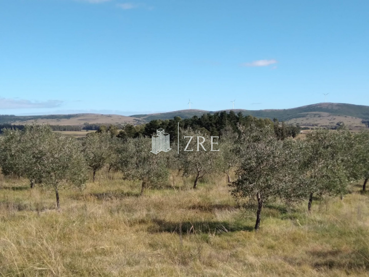 Chacra ID.49 - Venta chacra