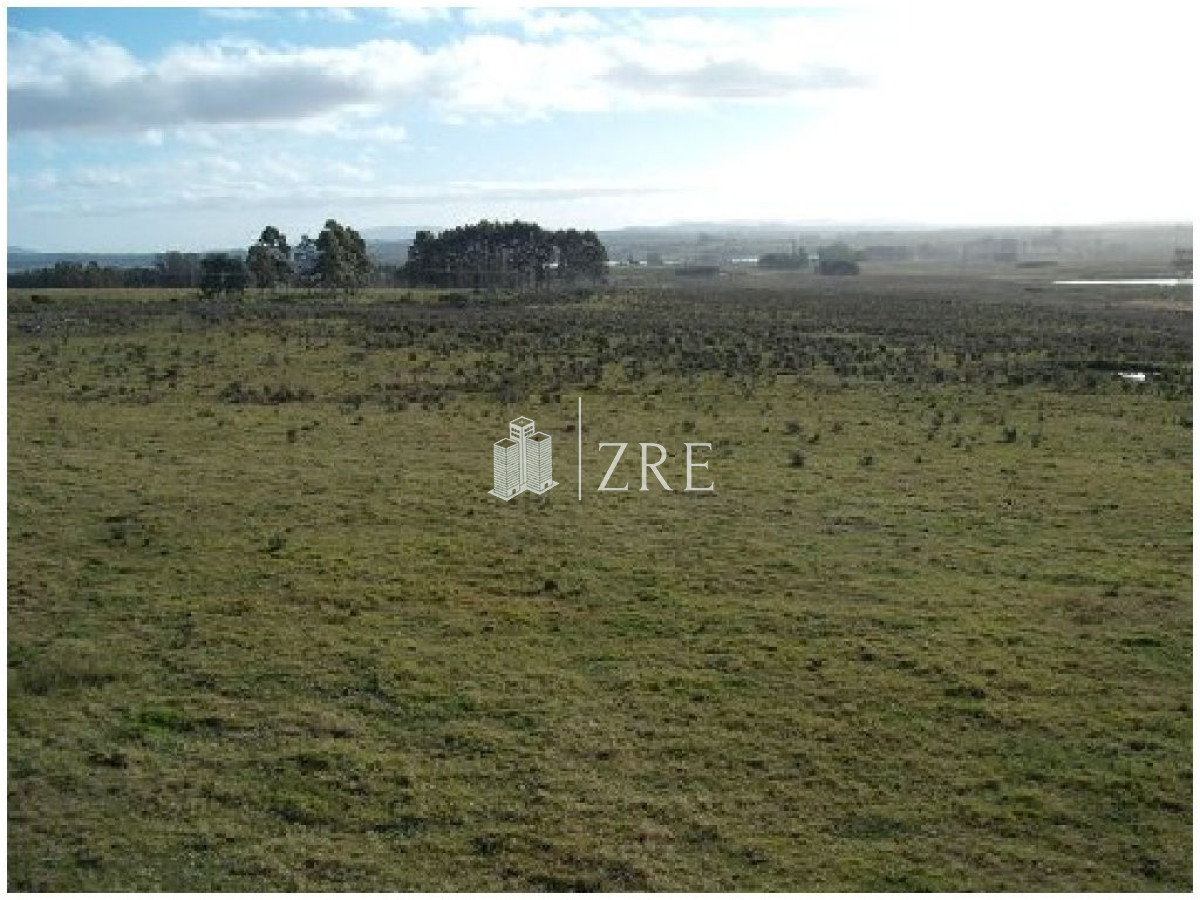 Chacra ID.387 - Venta chacra 5 hectáreas, a metros de ruta 12, entre Solanas y Ruta 9.