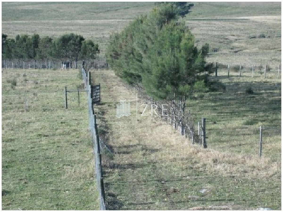 Chacra ID.387 - Venta chacra 5 hectáreas, a metros de ruta 12, entre Solanas y Ruta 9.