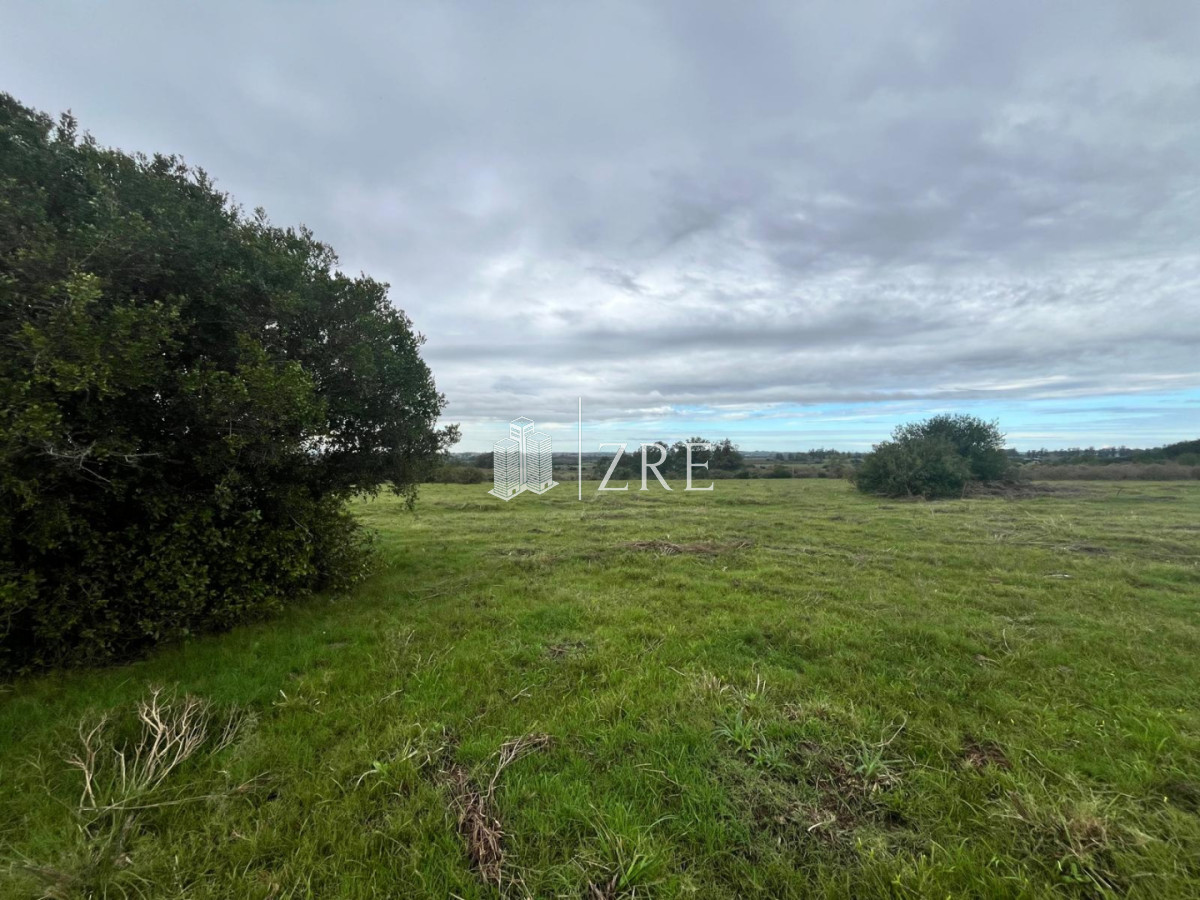 Chacra ID.1371 - Venta de chacras de 3 has en camino de Los Ceibos