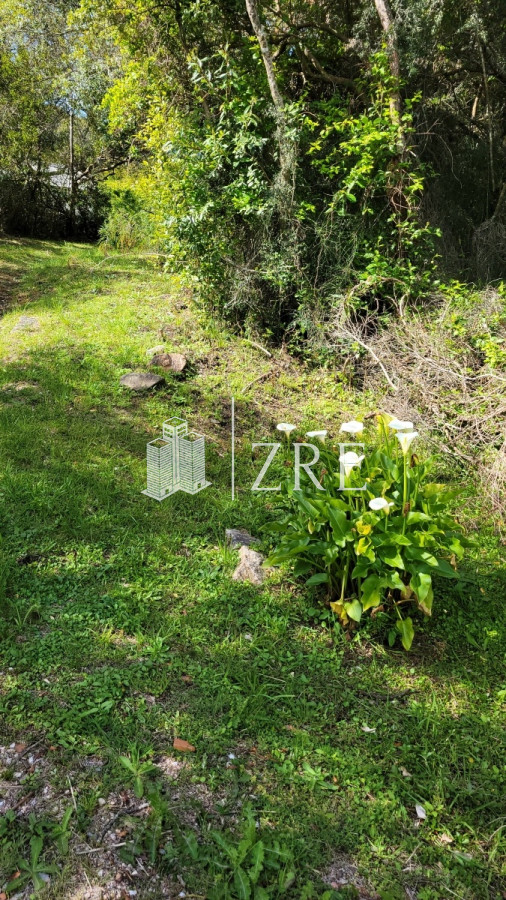 Chacra ID.207 - Venta chacra 11 hectáreas Ruta 12 Pueblo Edén 