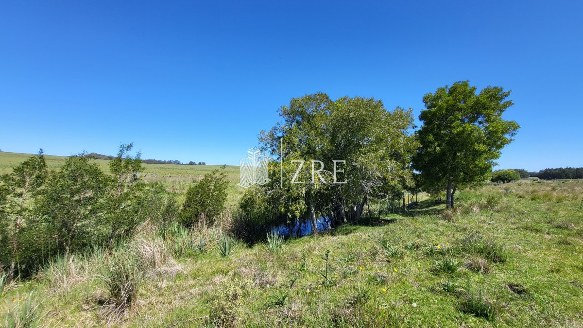 Chacra ID.96 - Venta chacra Jose Ignacio con costa Arroyo Anastasio