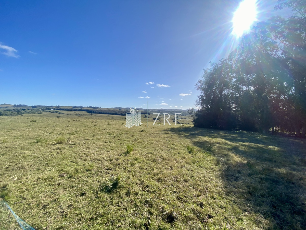 Chacra ID.744 - Venta chacra 5 hectáreas. 