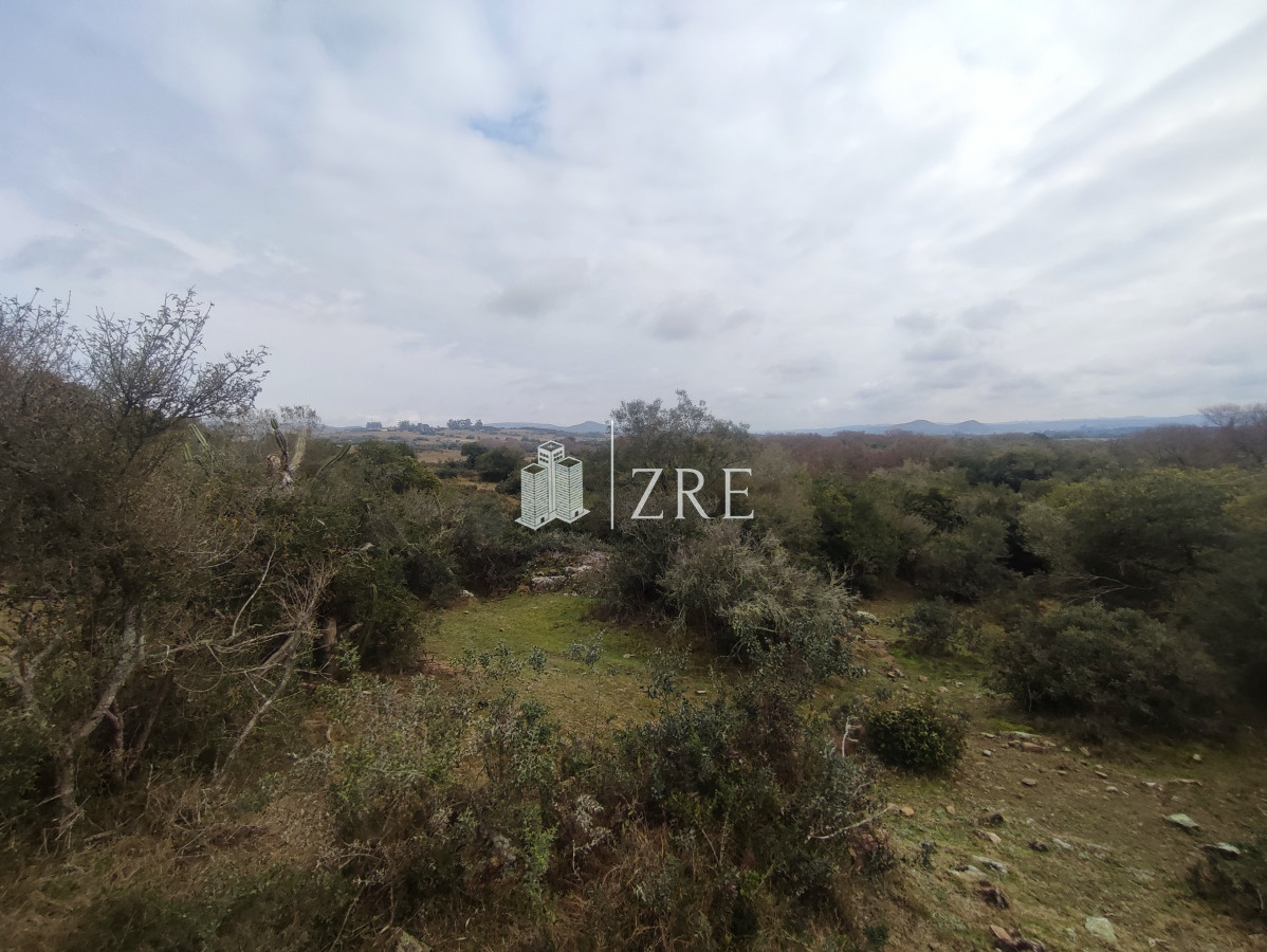 Chacra ID.265 - Venta chacra con costa arroyo. Ruta 12 Maldonado 