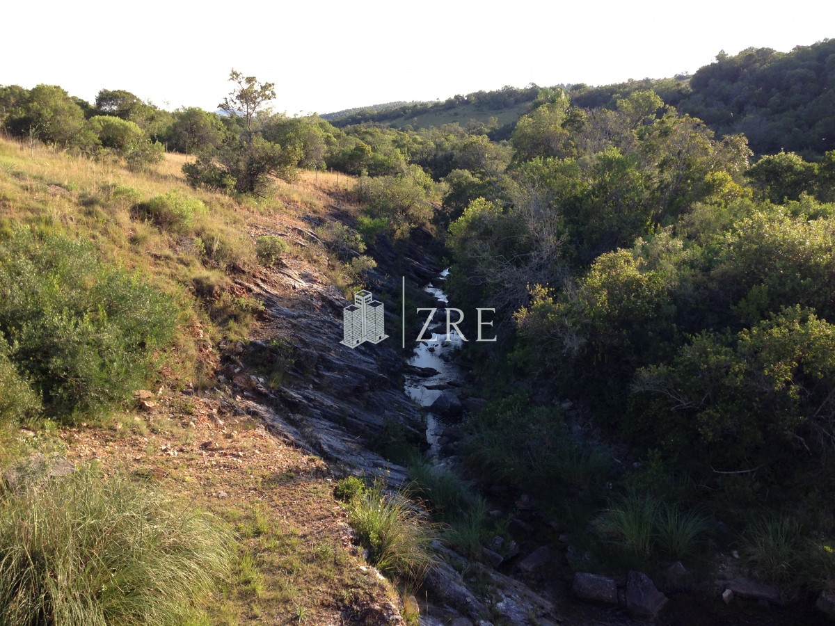 Chacra ID.207 - Venta chacra 11 hectáreas Ruta 12 Pueblo Edén 