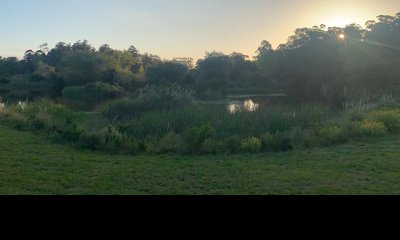 Venta chacra 10 hectáreas La barra, Maldonado