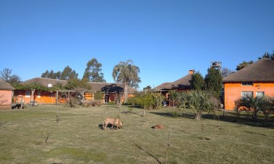 Venta chacra