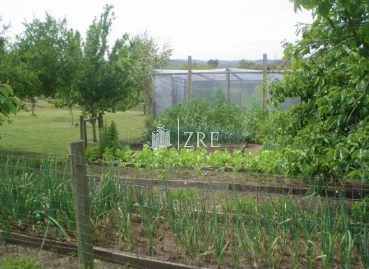 Campo Ref.47 - Venta campo 