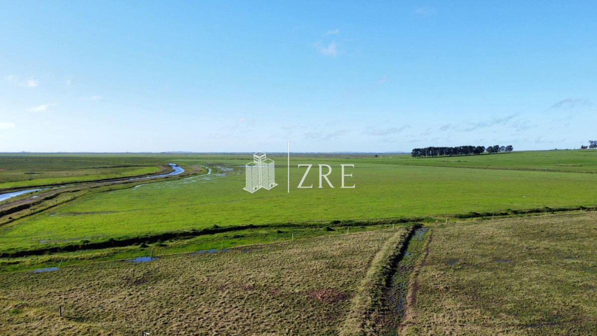 Campo Ref.734 - Venta campo agricola ganadero, Lascano Rocha 