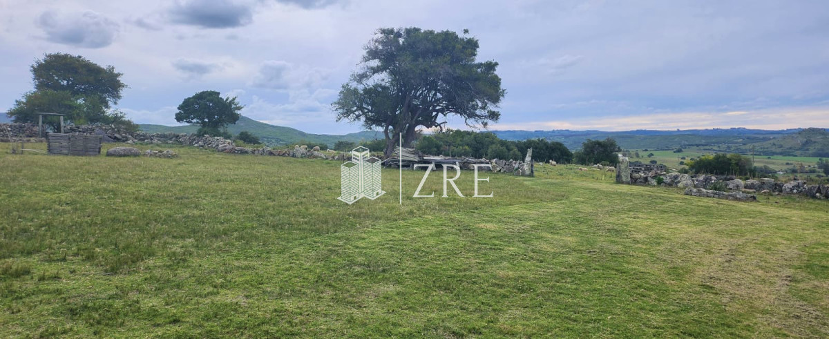 Campo Ref.108 - Venta 47has con casa, costa de arroyo y 5 tajamares