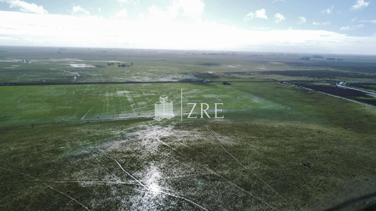Campo Ref.734 - Venta campo agricola ganadero, Lascano Rocha 