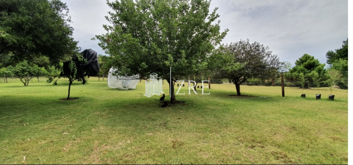 Campo Ref.47 - Venta campo 